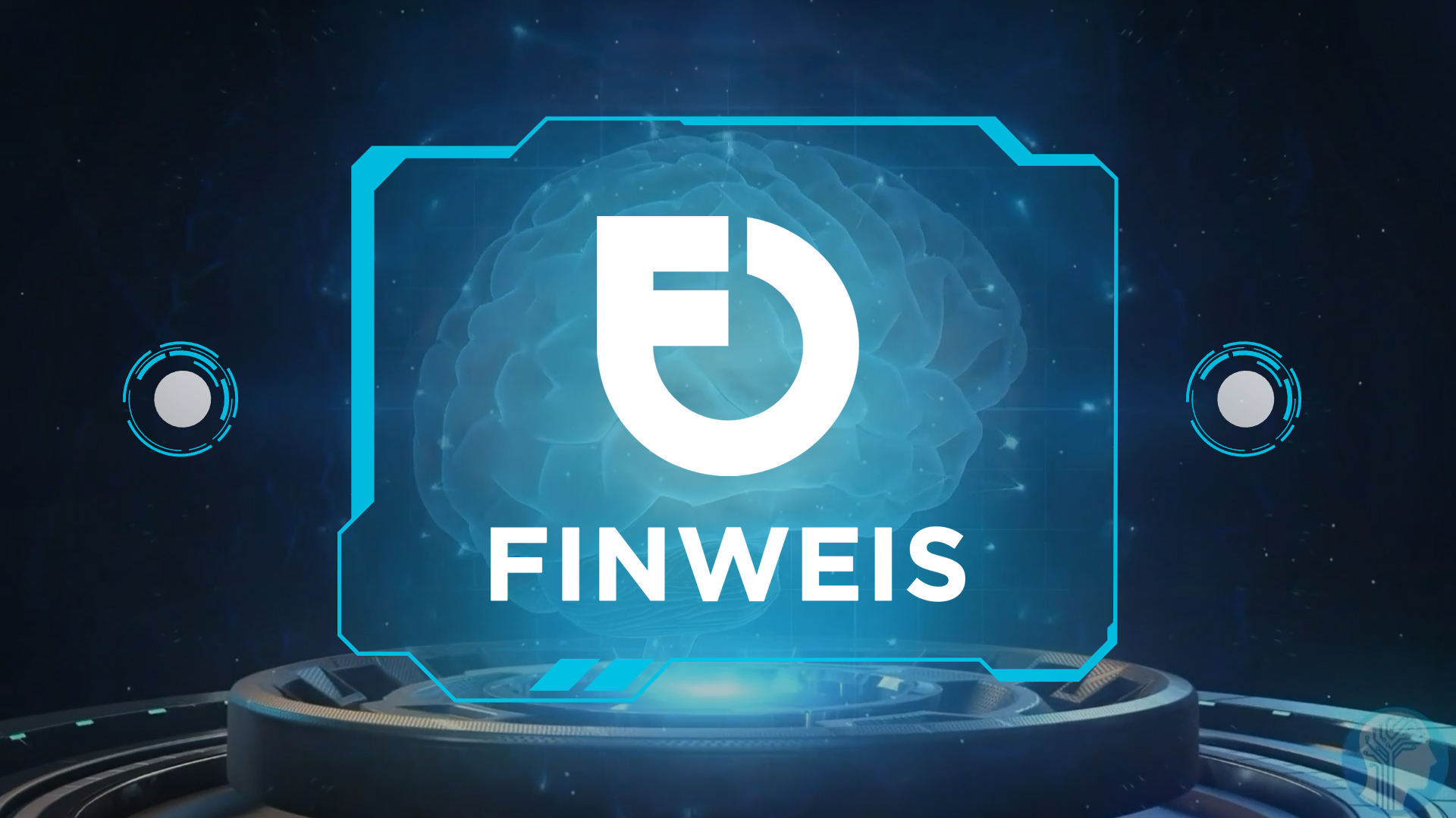 FinWeis